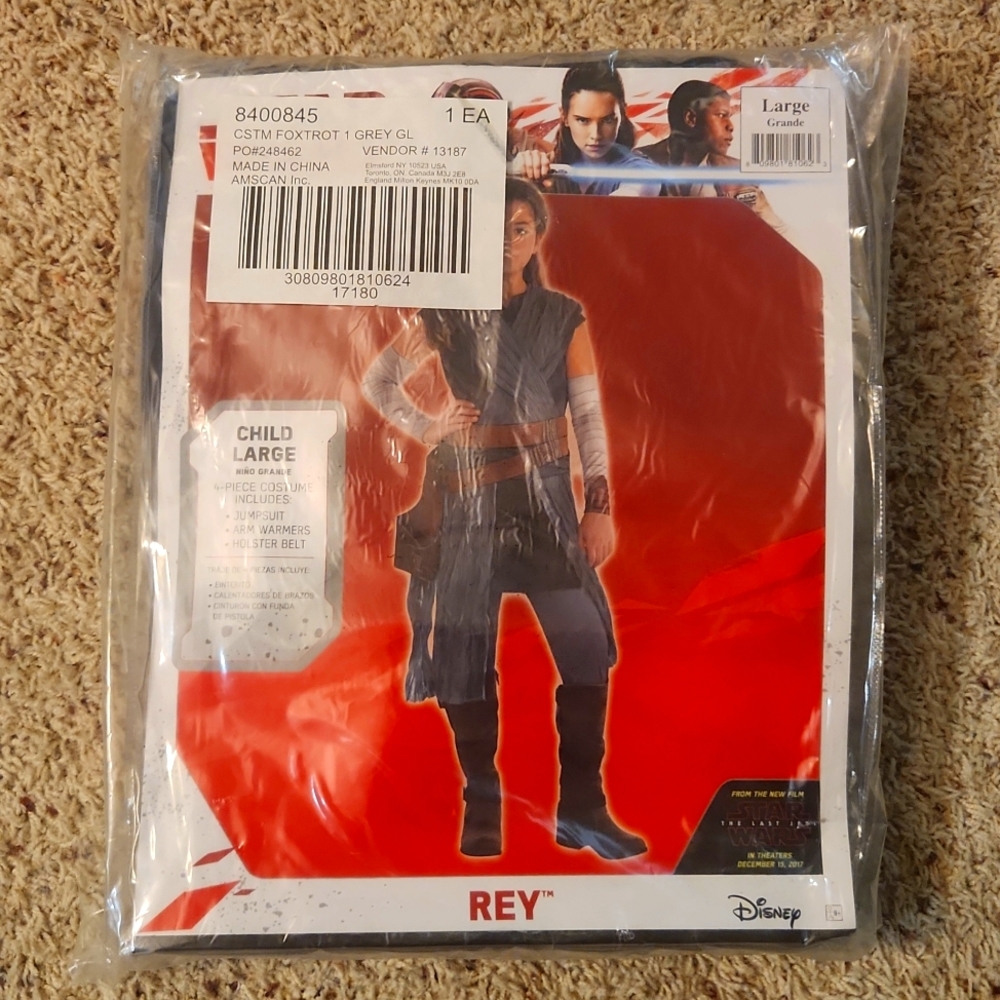Disney Rey Costume
